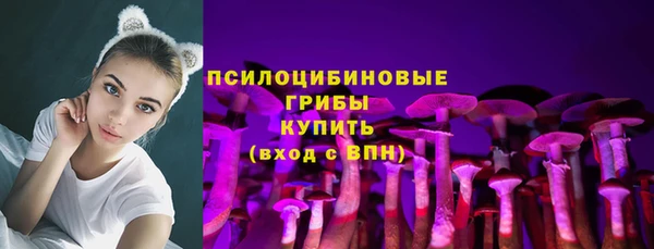 мяу мяу мука Алексин