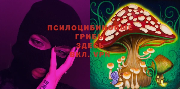 2c-b Алексеевка