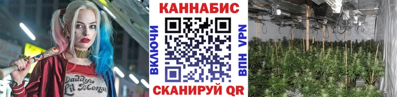 Канабис семена  Бокситогорск 